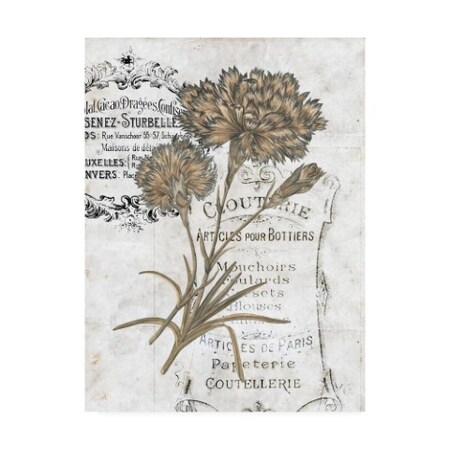 Trademark Fine Art Melissa Wang 'Ua Ch Petite Beaute Iii' Canvas Art, 24x32 WAG09988-C2432GG